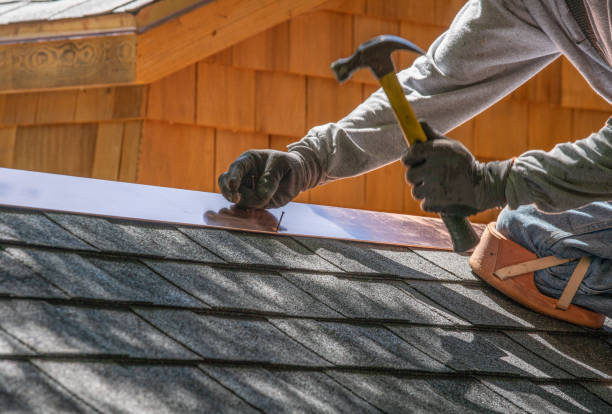 Best Roof Coating and Sealing  in Ida Grove, IA